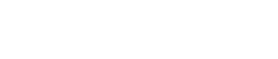 Netcapital Financial Group